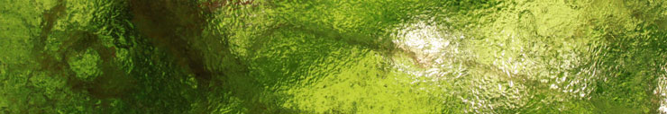 green vegetable music